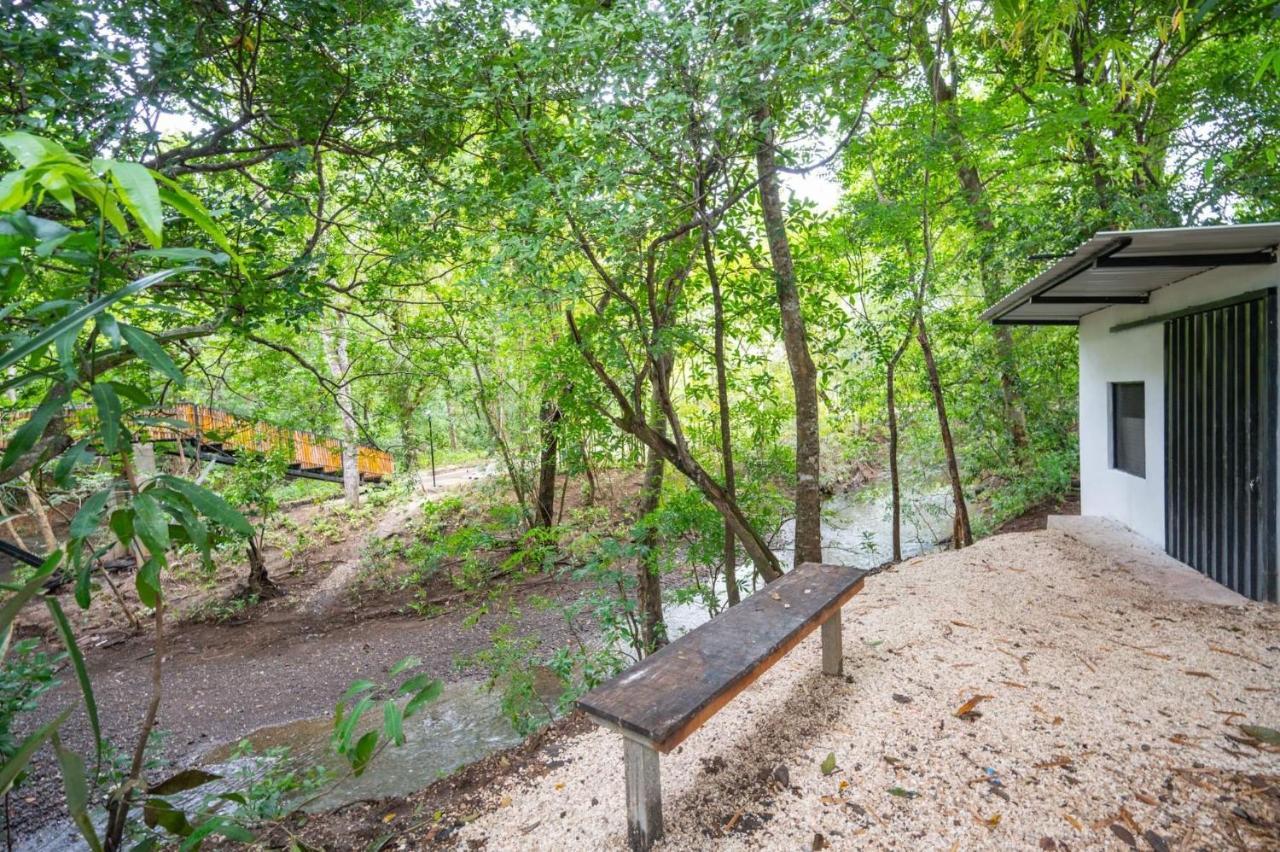 Antema Lodge Secteur Tamarindo, Piscine, Yoga, Gym, Jungle Et Paix 外观 照片