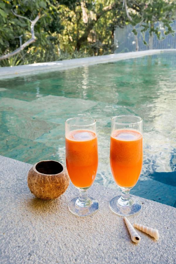 Antema Lodge Secteur Tamarindo, Piscine, Yoga, Gym, Jungle Et Paix 外观 照片
