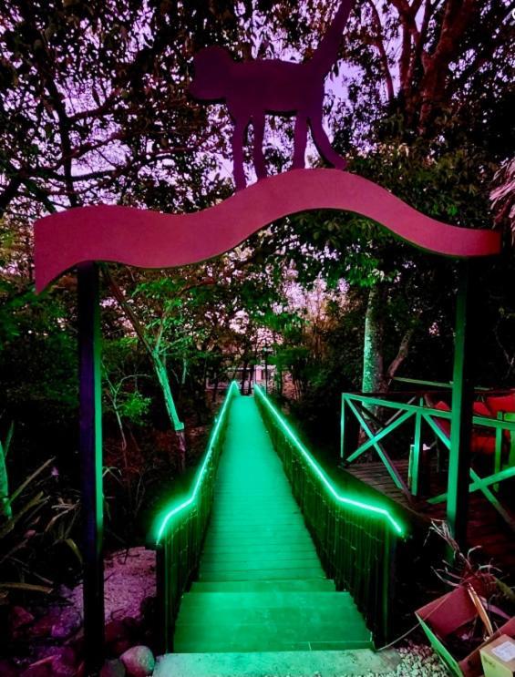 Antema Lodge Secteur Tamarindo, Piscine, Yoga, Gym, Jungle Et Paix 外观 照片