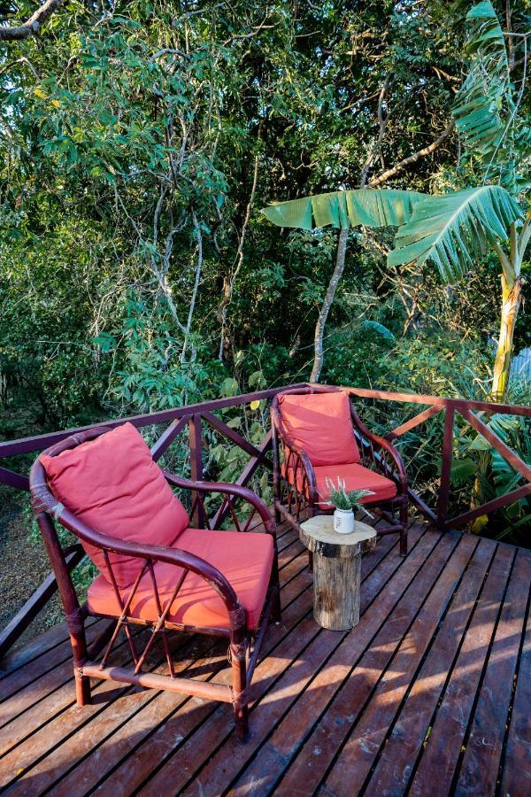 Antema Lodge Secteur Tamarindo, Piscine, Yoga, Gym, Jungle Et Paix 外观 照片