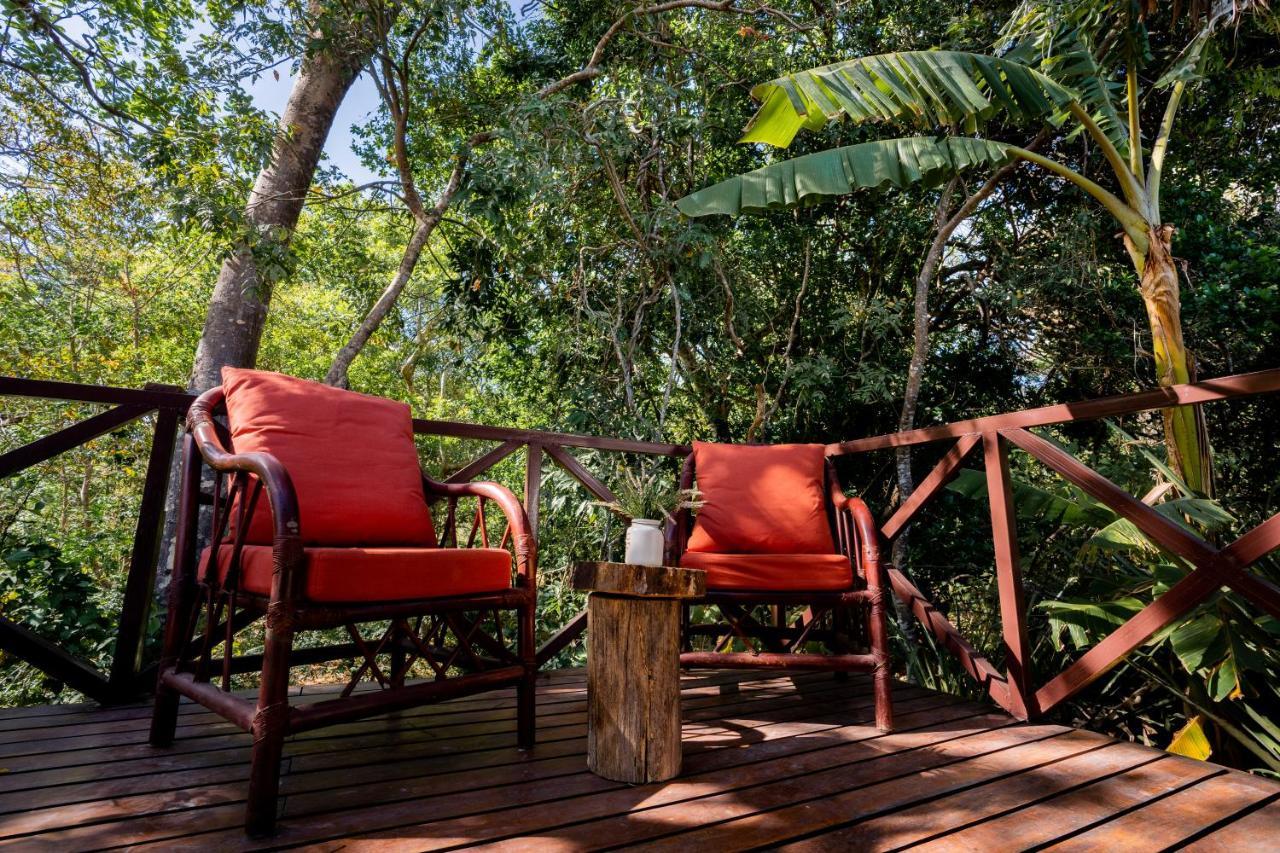 Antema Lodge Secteur Tamarindo, Piscine, Yoga, Gym, Jungle Et Paix 外观 照片